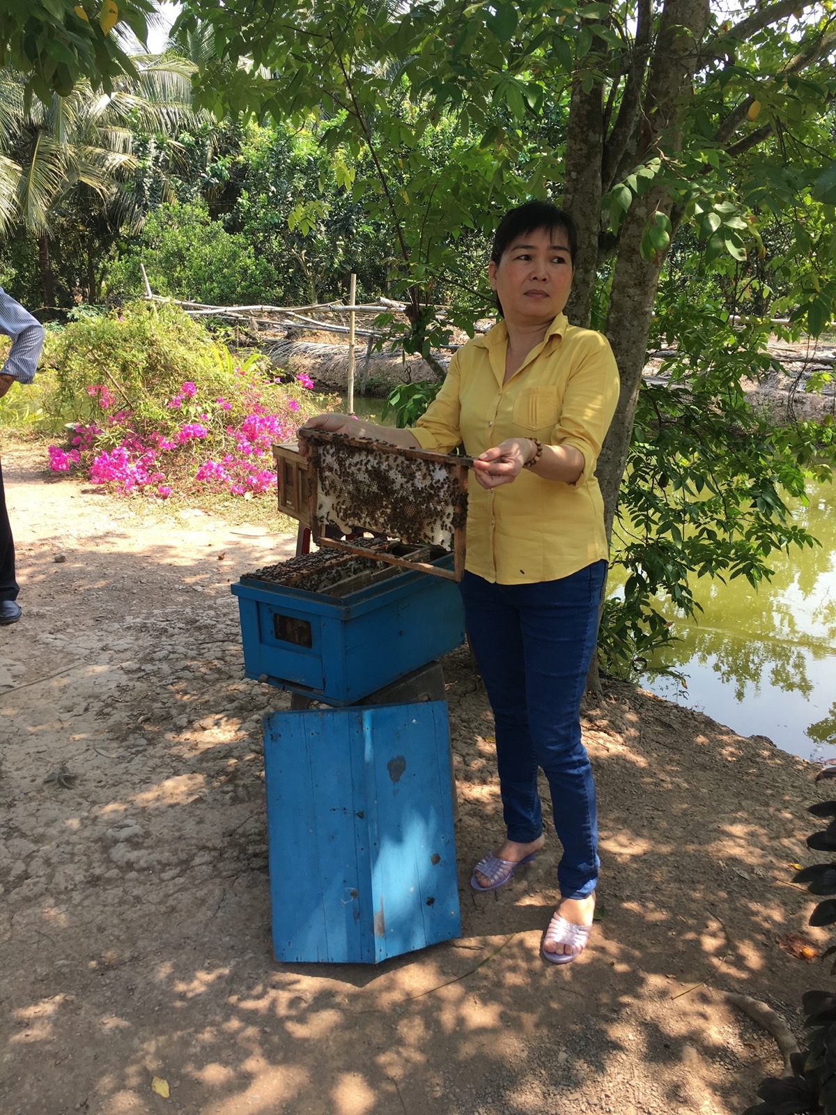韓国人旅行者たちとの昼食の風景