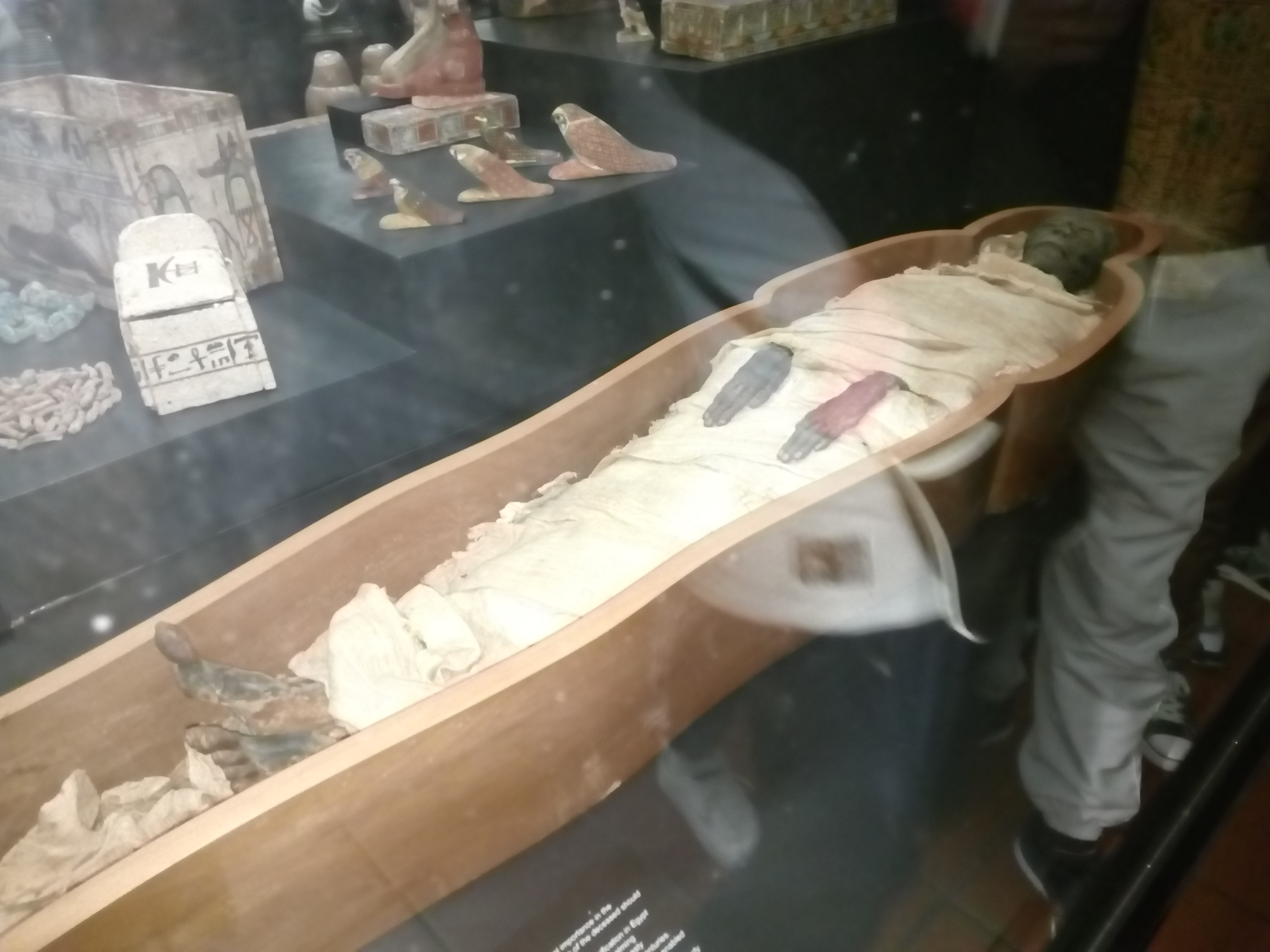 バチカン美術館のエジプト・コレクションのミイラ